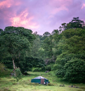 Yurt 2
